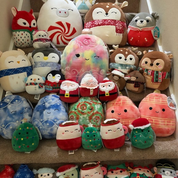 Meet your Posher, Jaime - Picture 7 of 15